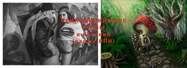 прущий лед Осинники