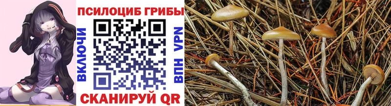 Псилоцибиновые грибы Magic Shrooms  Пустошка 